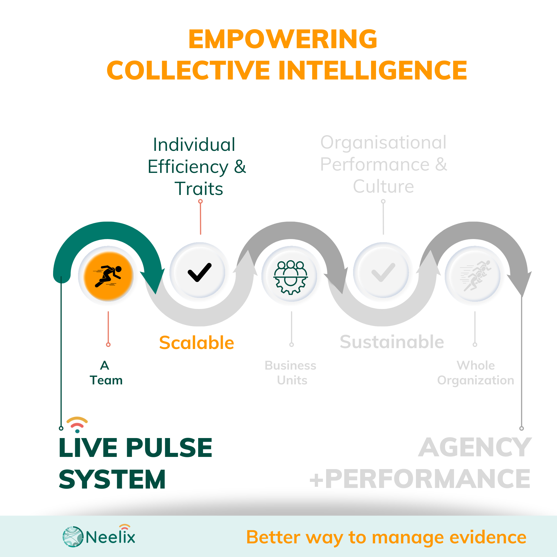 High Performance Teams | Neelix.IO