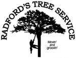 Tree Services in Lake City, FL | Radfords Tree Service LLC Tree Services in Lake City, FL | Radfords Tree Service LLC