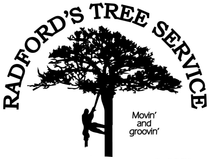 Tree Services in Lake City, FL | Radfords Tree Service LLC Tree Services in Lake City, FL | Radfords Tree Service LLC