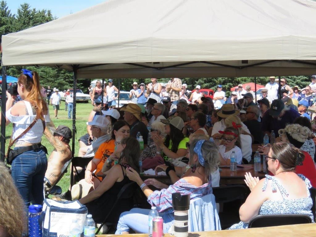 A large group of people are sitting under a tent at a picnic.