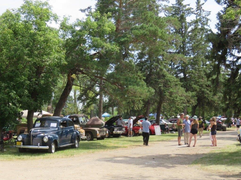 A group of people are walking down a dirt road surrounded by trees and cars