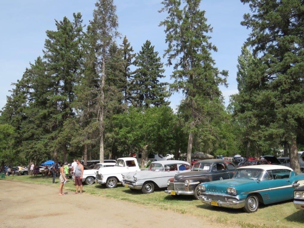A row of cars parked in a grassy area with trees in the background