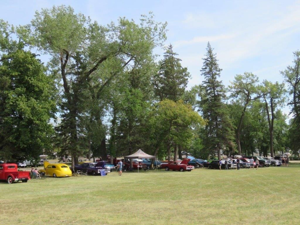 A row of cars parked in a grassy field with trees in the background