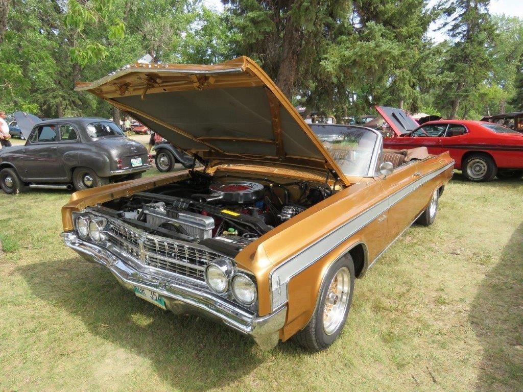 A gold car with the hood up is parked in a grassy field.