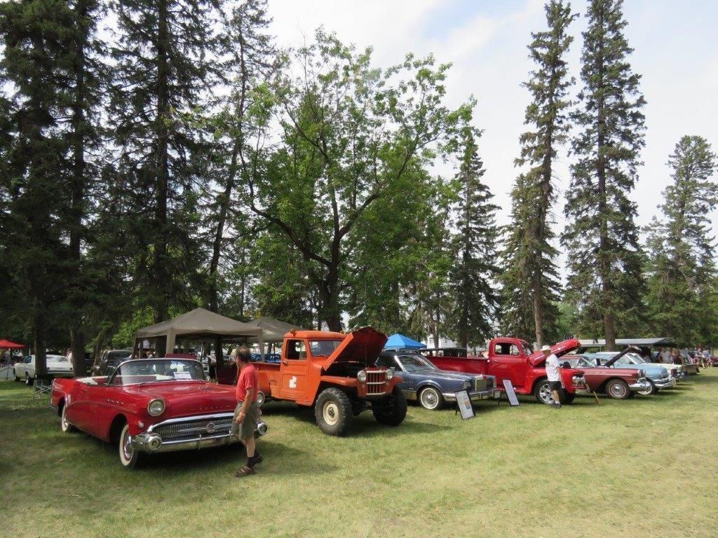 A row of cars are parked in a grassy field with trees in the background