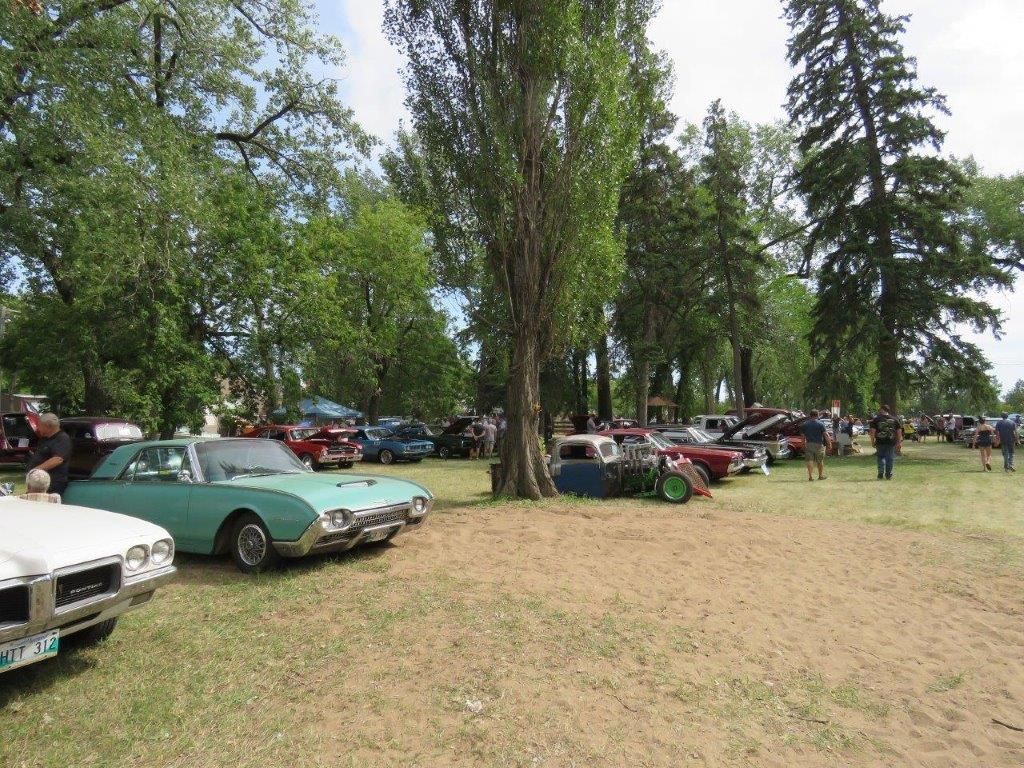 A group of cars are parked in a grassy field.