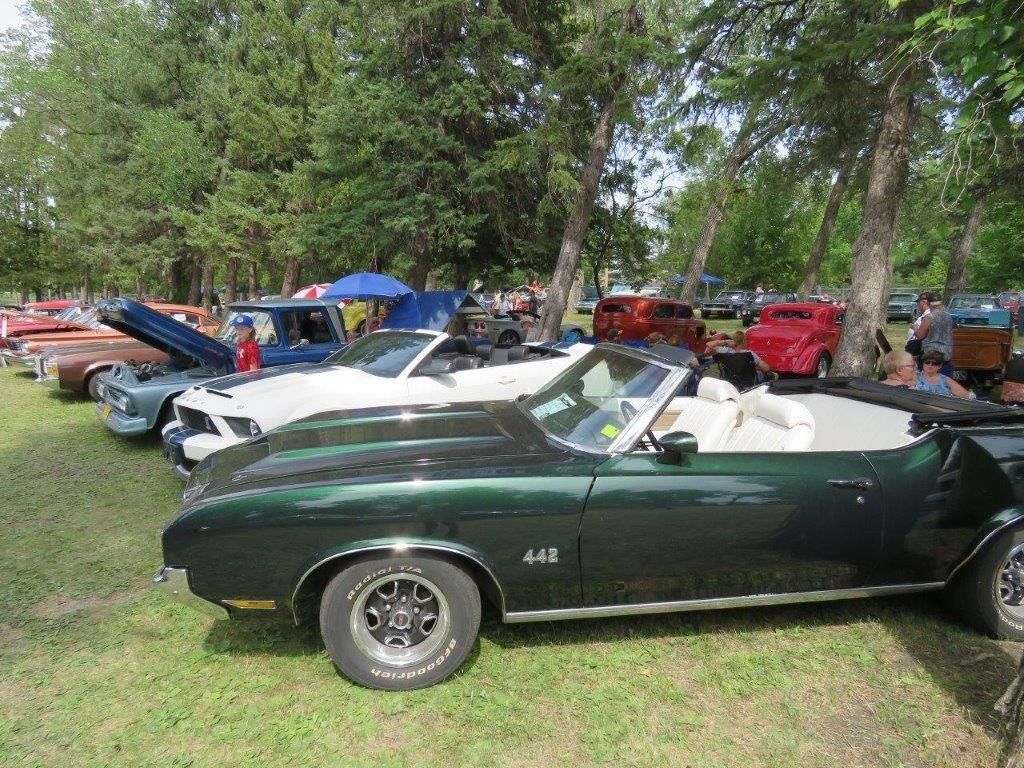 A row of cars are parked in a grassy field.