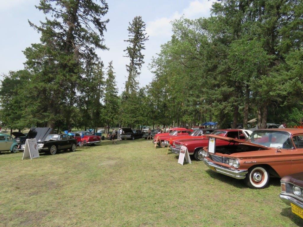 A row of cars are parked in a grassy field with trees in the background