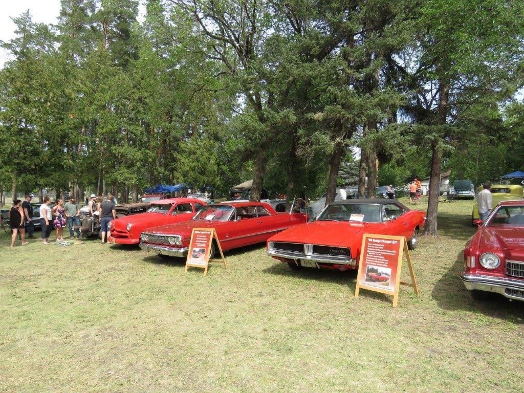 A row of red cars are parked in a grassy field.