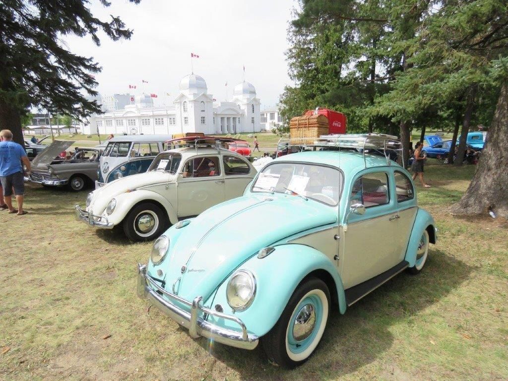 A volkswagen beetle is parked in a grassy field