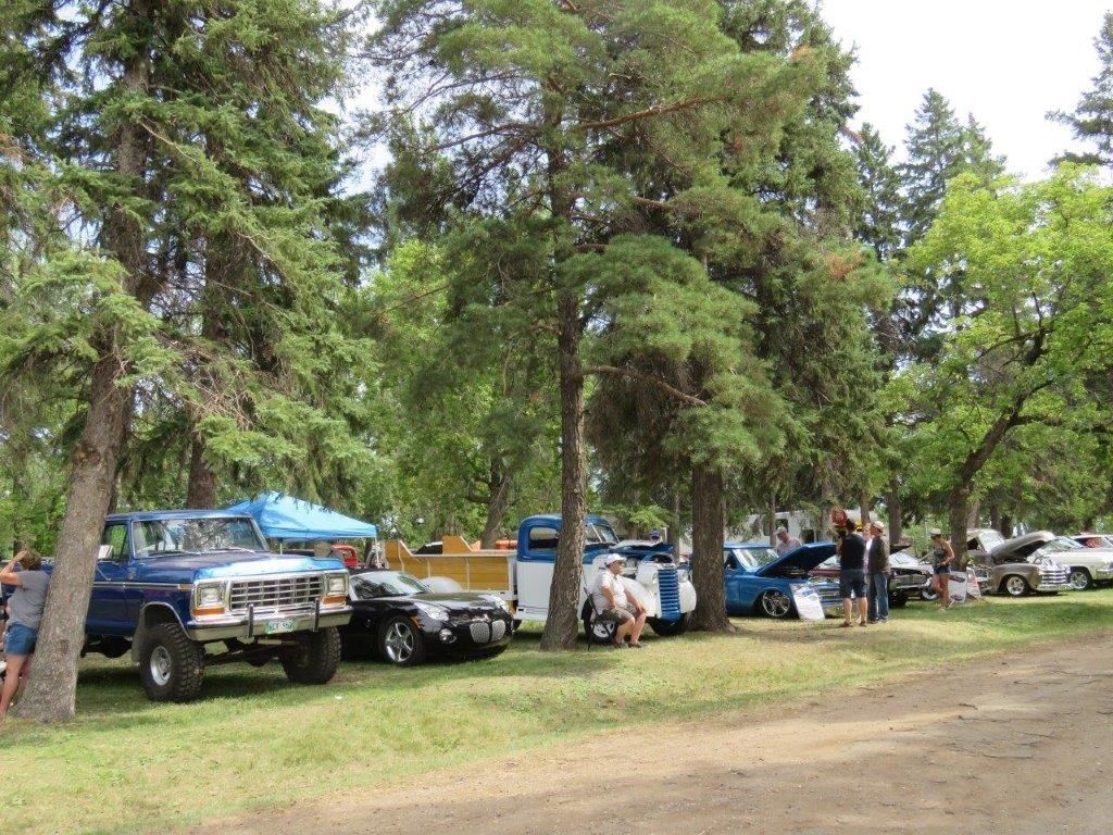 A row of cars parked in a grassy area surrounded by trees.