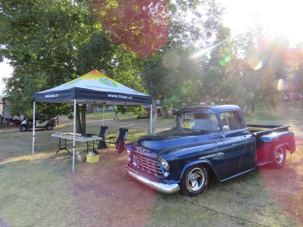 A blue truck is parked in front of a canopy in a park.