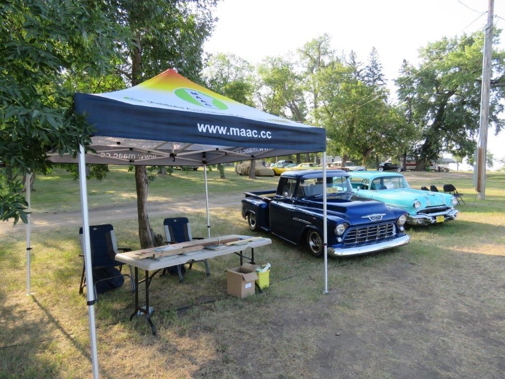 A row of old cars are parked under a canopy in a park.