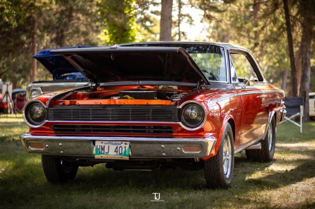 A red car with the hood up is parked in the grass.
