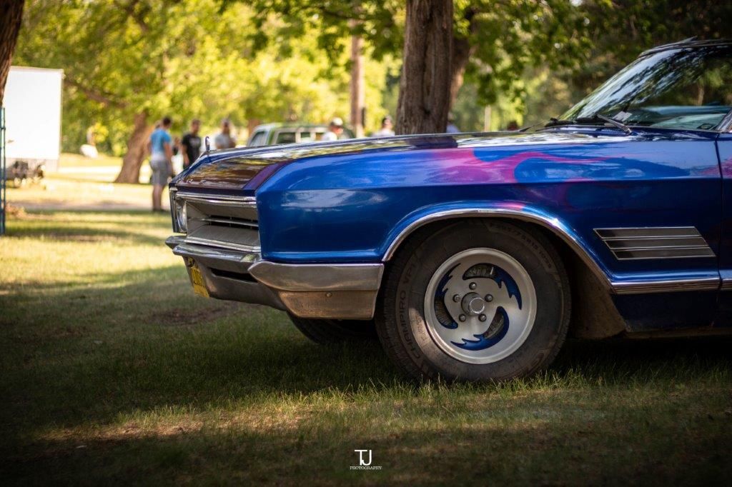 A blue car is parked in the grass under a tree.