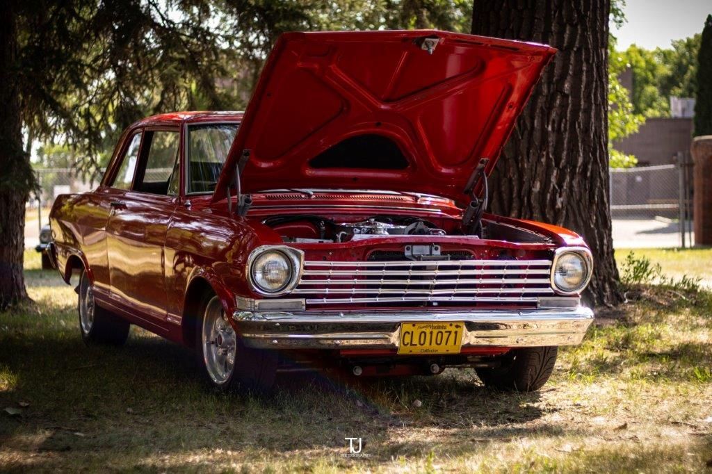 A red car with the hood up is parked under a tree.
