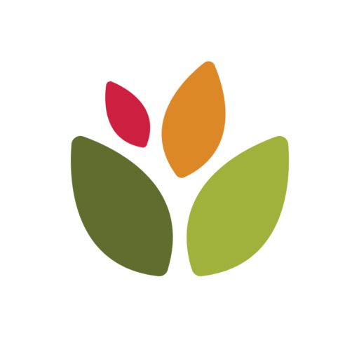 Nutters Everyday Naturals Abstract leaf logo in green, light green, orange, and red on a white background