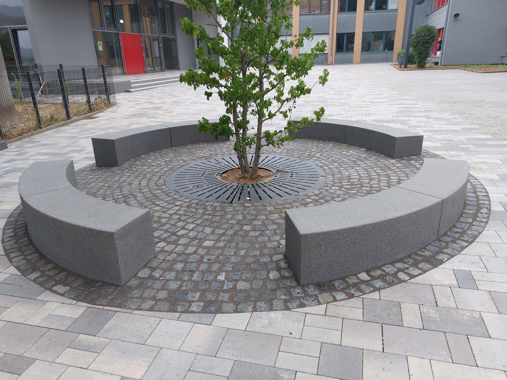 Ein kleiner Baum, umgeben von einer runden, dunkelgrauen Steinbank auf einem gepflasterten Platz.