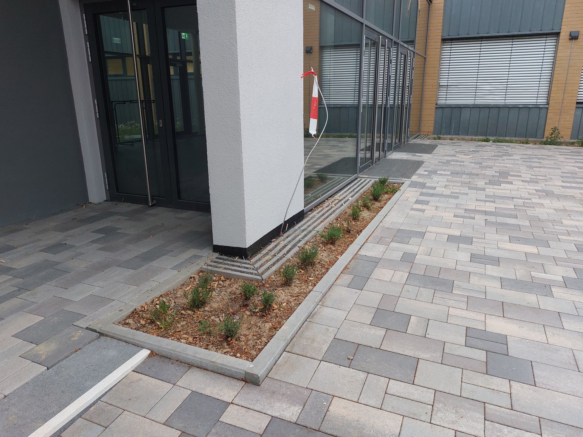 Ein gepflasterter Gehweg vor einem modernen Gebäude mit einem mit Mulch gefüllten Beet, in dem kleine Grünpflanzen wachsen.
