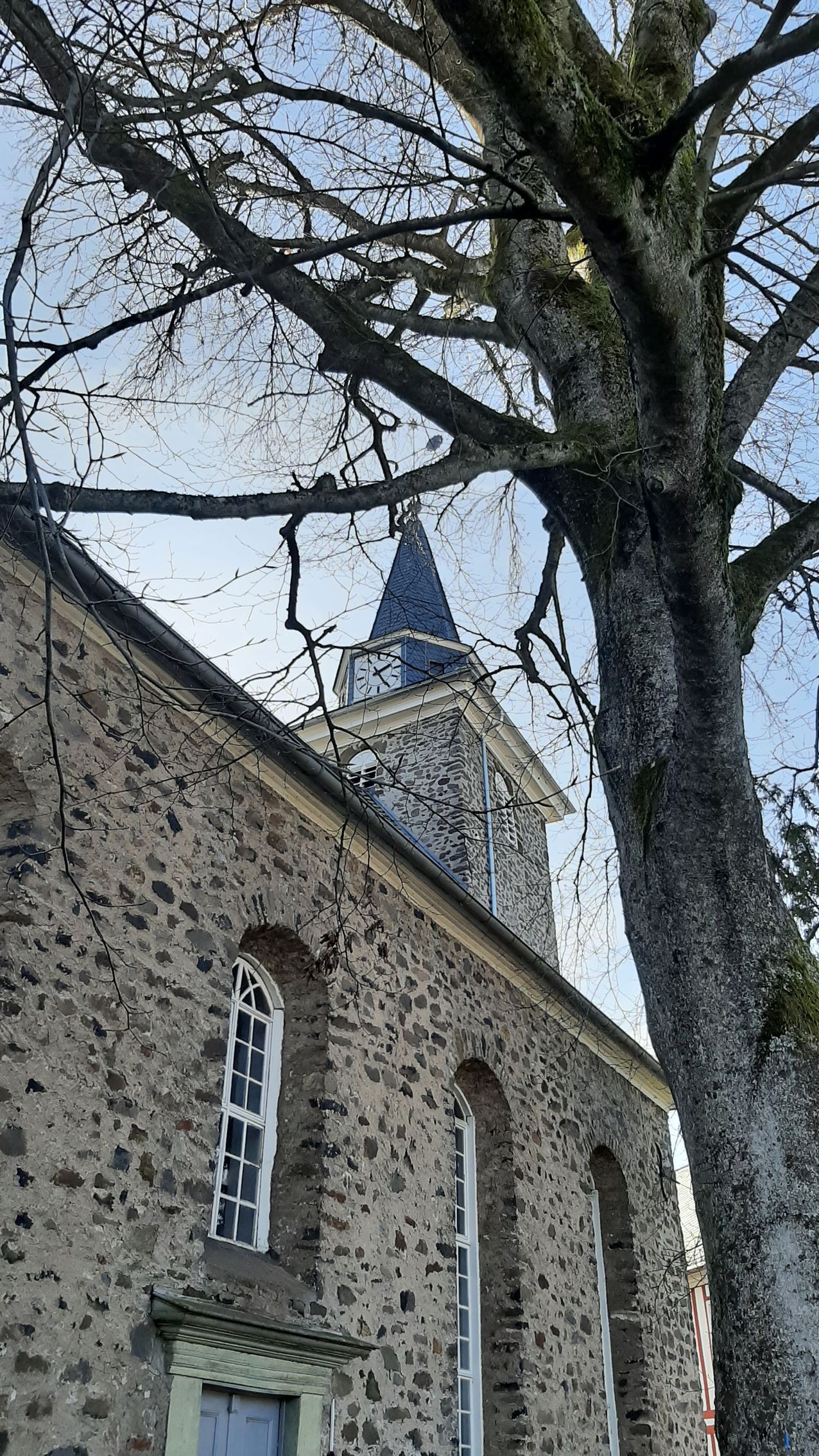 Ein steinernes Kirchengebäude mit hohem Kirchturm, teilweise eingerahmt von den Ästen eines großen, Baumes vor blauem Himmel.