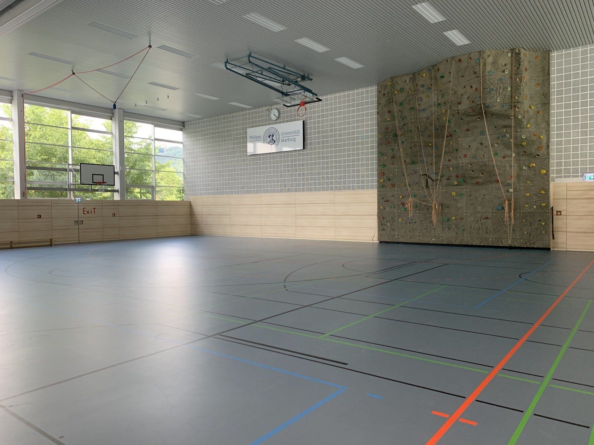 Eine Indoor-Sporthalle mit Kletterwand, hellen Holzvertäfelungen, grauem Boden mit farbigen Spielfeldlinien und Fenstern.