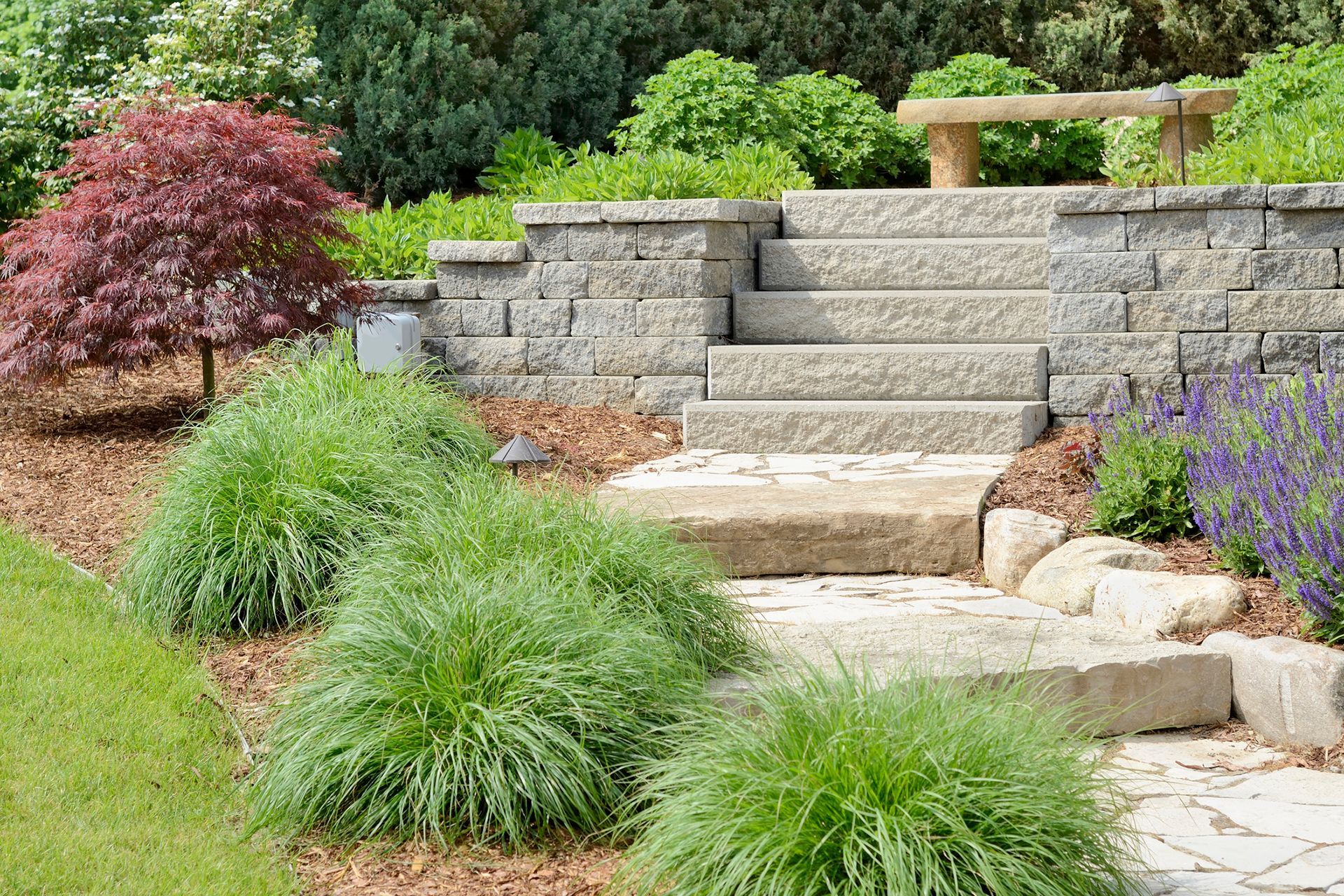 there are stairs leading up to a bench in the garden .