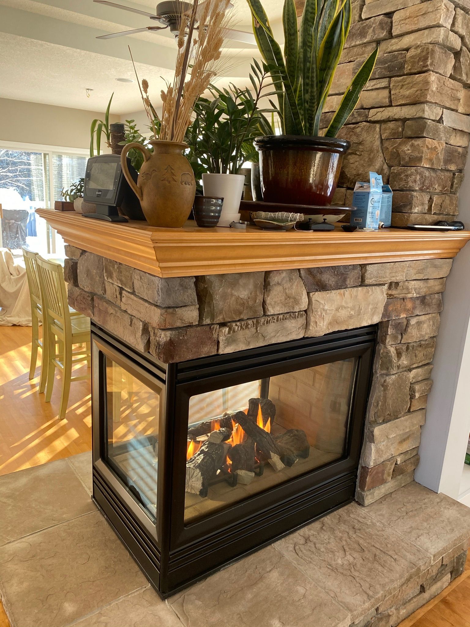 A stone fireplace with a wood mantel, decorative plants, and a burning fire viewed through glass panels.