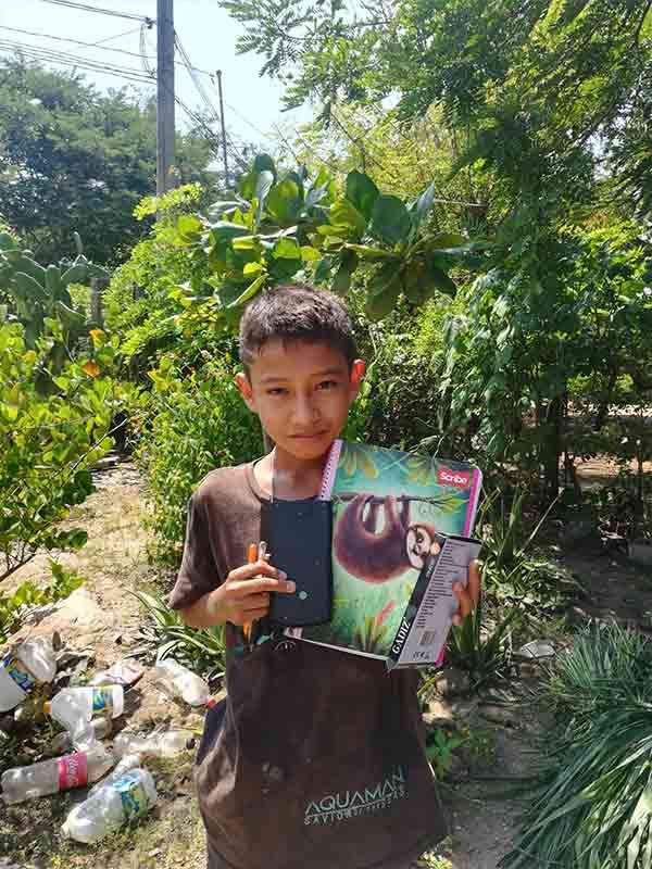 Person in a garden holding a colorful book, standing among green plants and litter in bright sunlight.