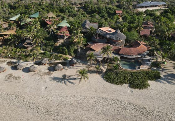 Aerial view of a tropical beach resort with palm trees, red-roofed buildings, and a sandy shoreline