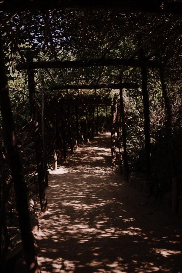 Shaded dirt path through a leafy tunnel with sunlight filtering through overhead branches