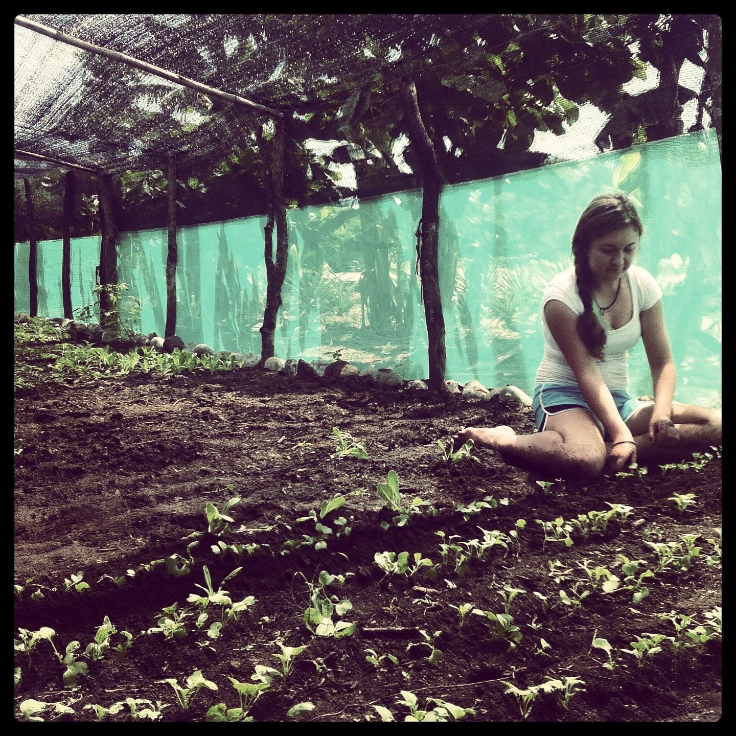Woman kneeling in a leafy garden beside a green mesh fence, surrounded by trees and soil.