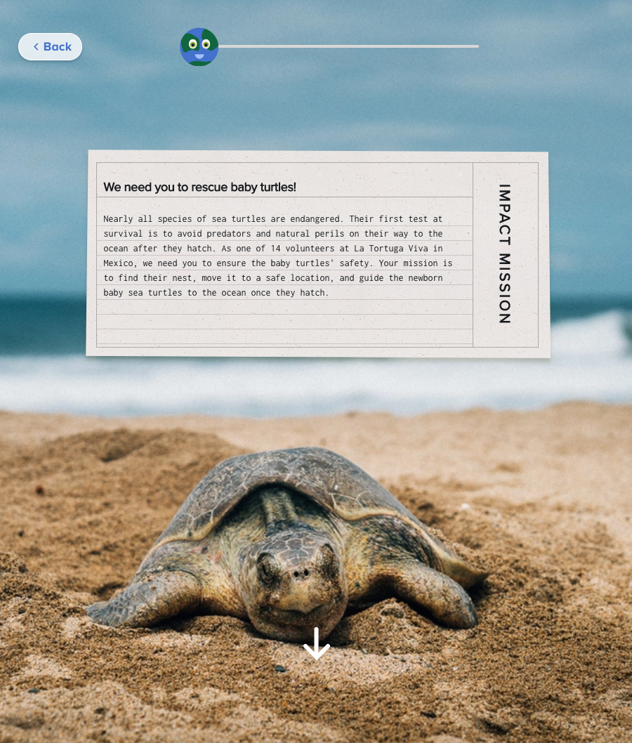 A turtle crawls on sand beneath a floating Microsoft license agreement window.