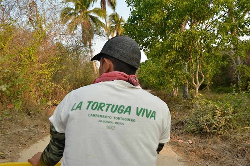 Person in a white “La Tortuga Viva” shirt walking on a dirt trail in a wooded area.