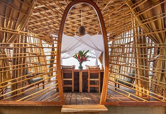 Wooden bamboo cabin interior with a table, chairs, and a vase of red flowers by a sheer curtain