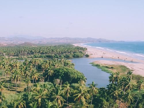 Aerial view of a tropical coastline with palm trees, a river mouth, sandy beach, and blue ocean.