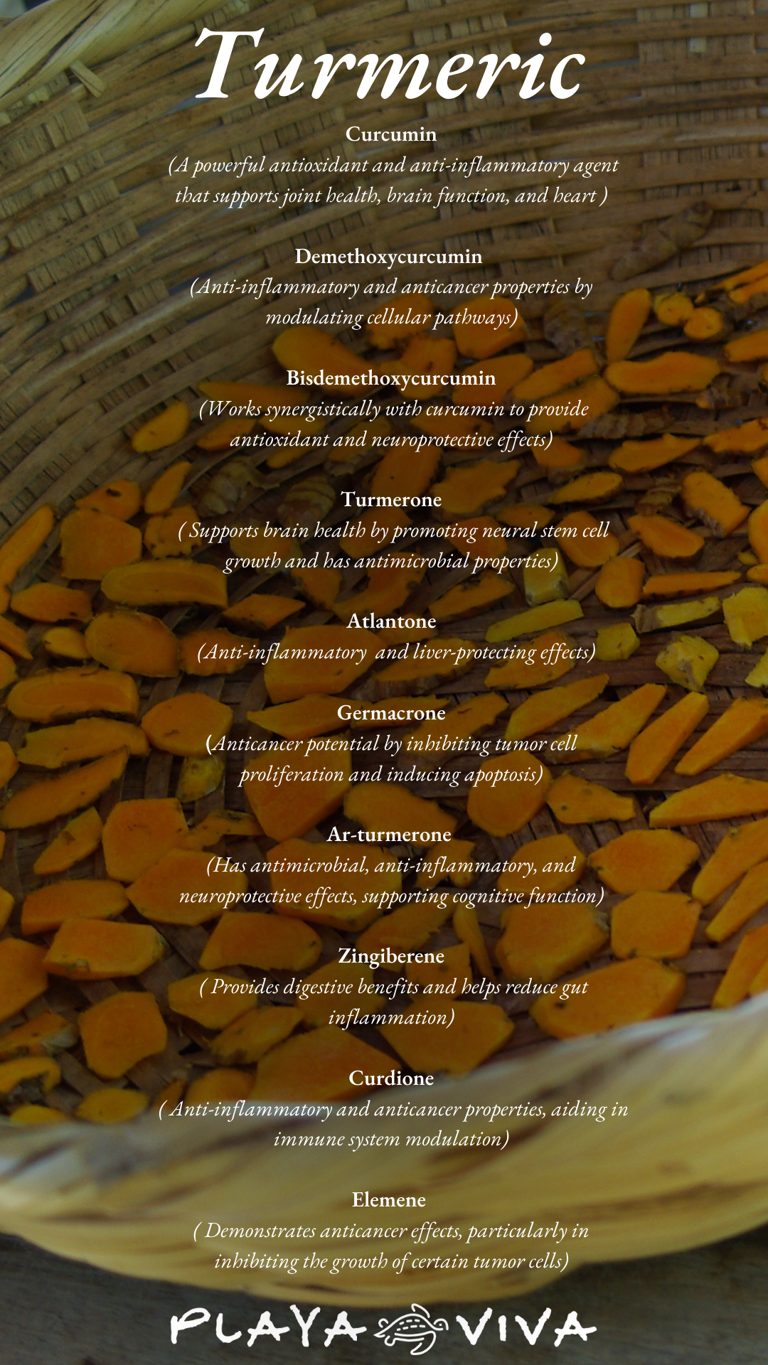 Turmeric spice poster with yellow turmeric slices and white text on a brown background