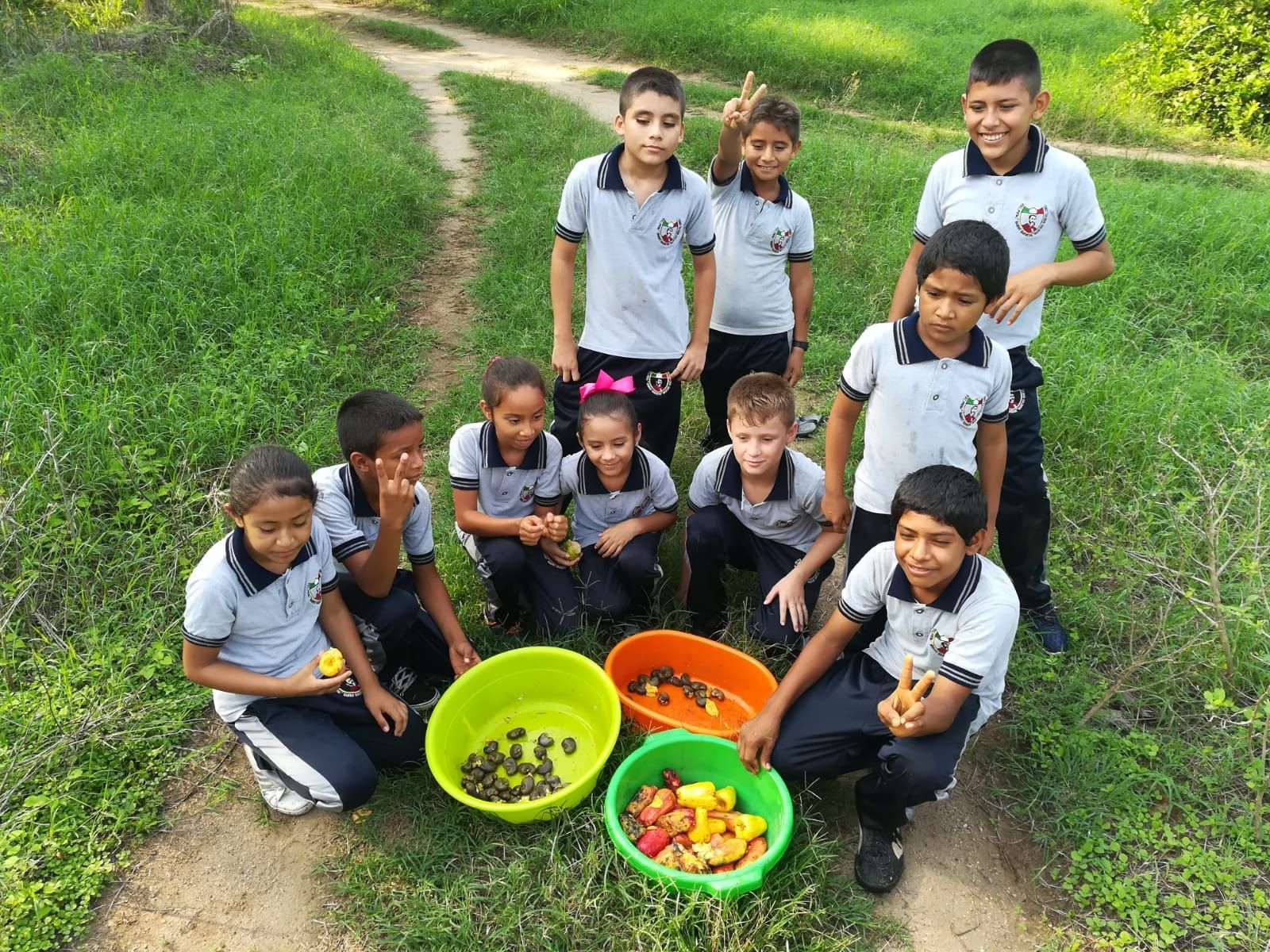Schoolchildren kneel outdoors around bowls of fruit and vegetables on a grassy path