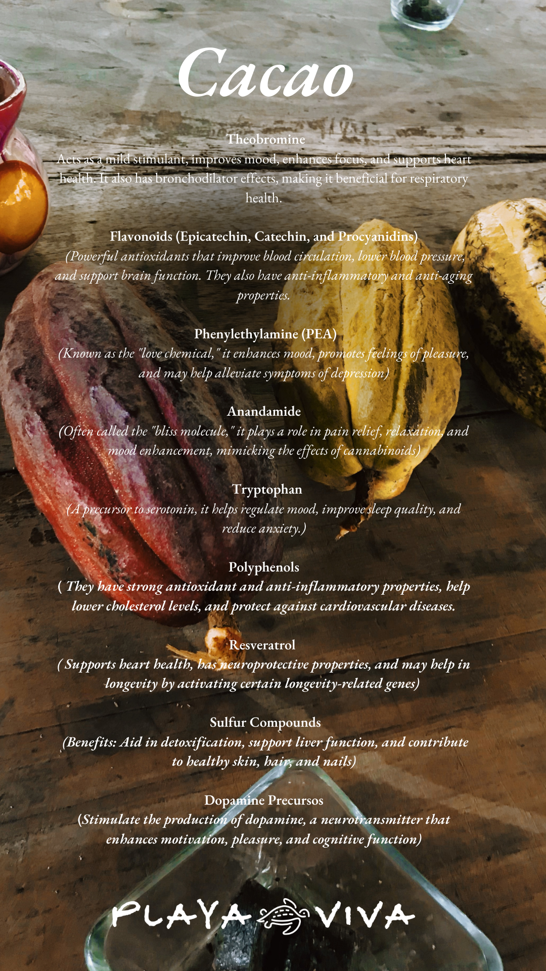 Colorful cacao pods on a rustic table with the title “Cacao” and menu-style text overlay.