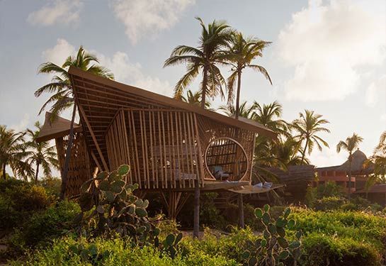 Thatched tropical hut amid lush greenery and palm trees at sunset