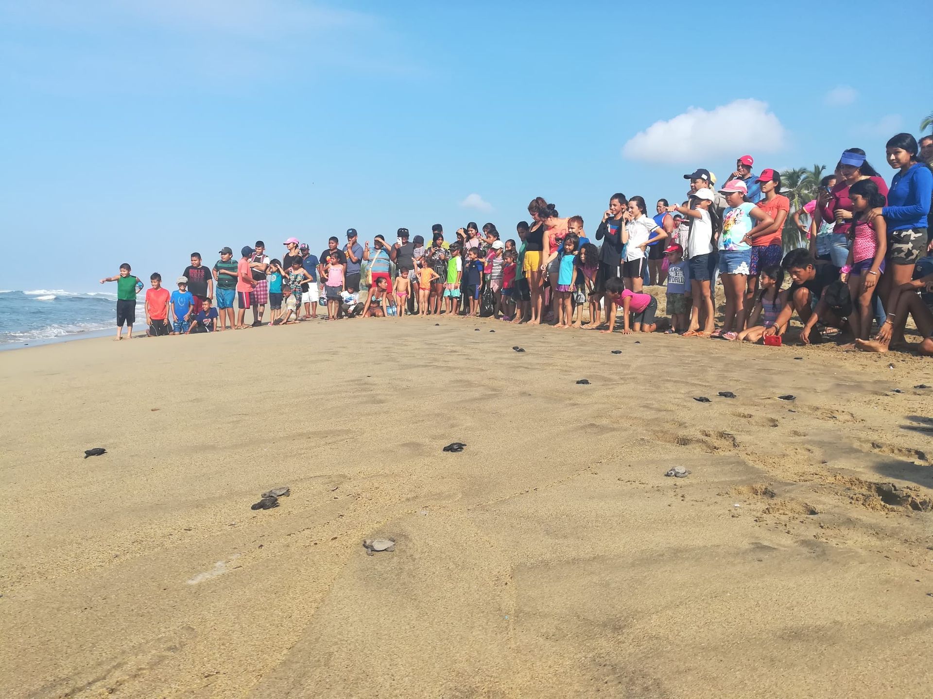 People lined up along a sandy beach under a clear blue sky, facing the water.