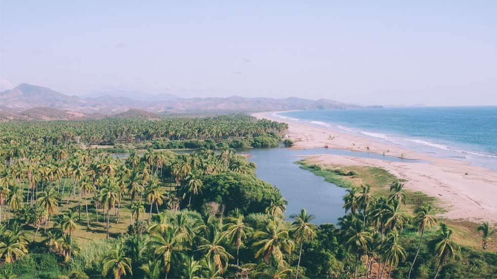 Aerial view of a tropical coastline with palm trees, a river, sandy beach, and blue ocean