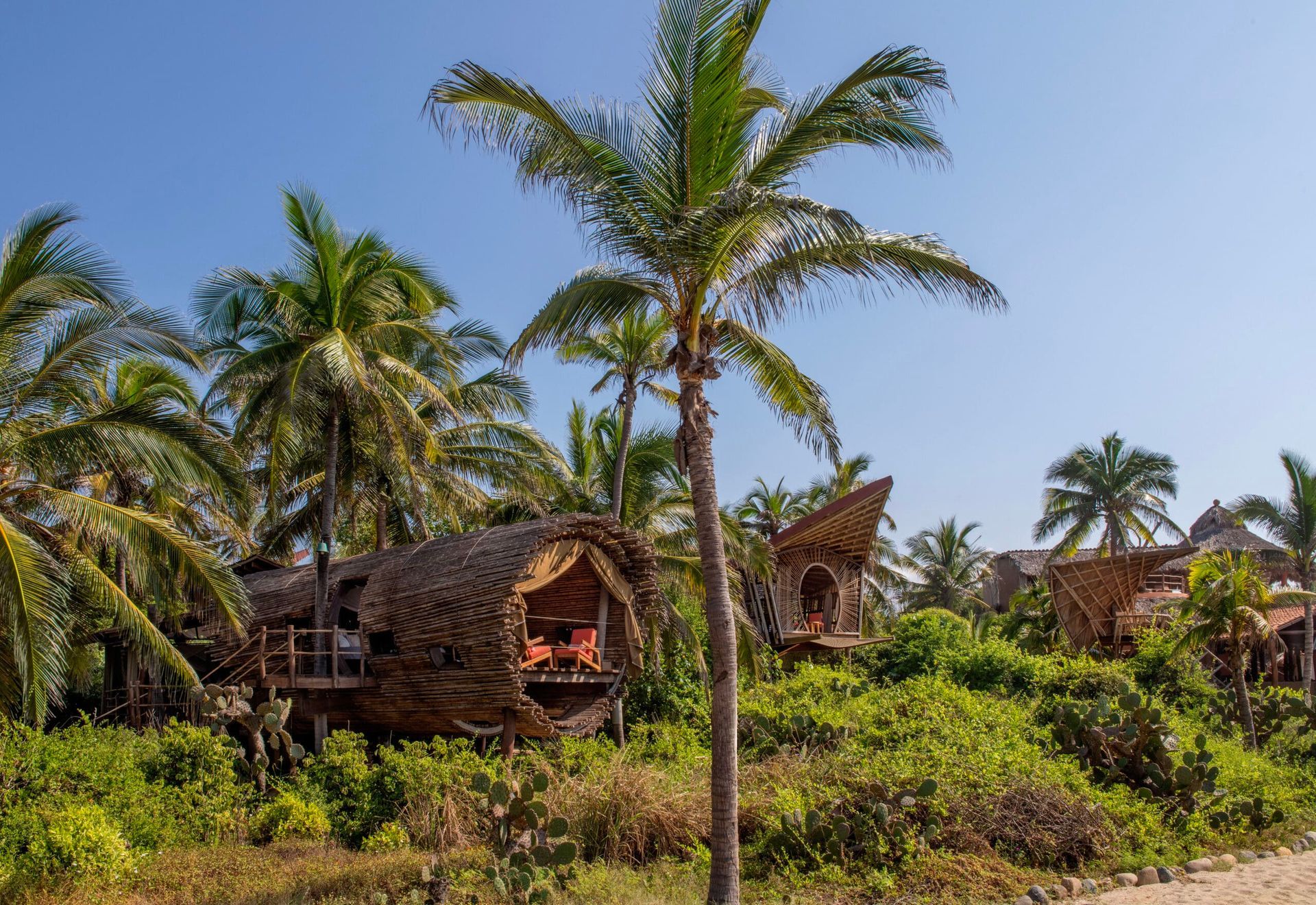 Thatched beach huts among palm trees under a clear blue sky