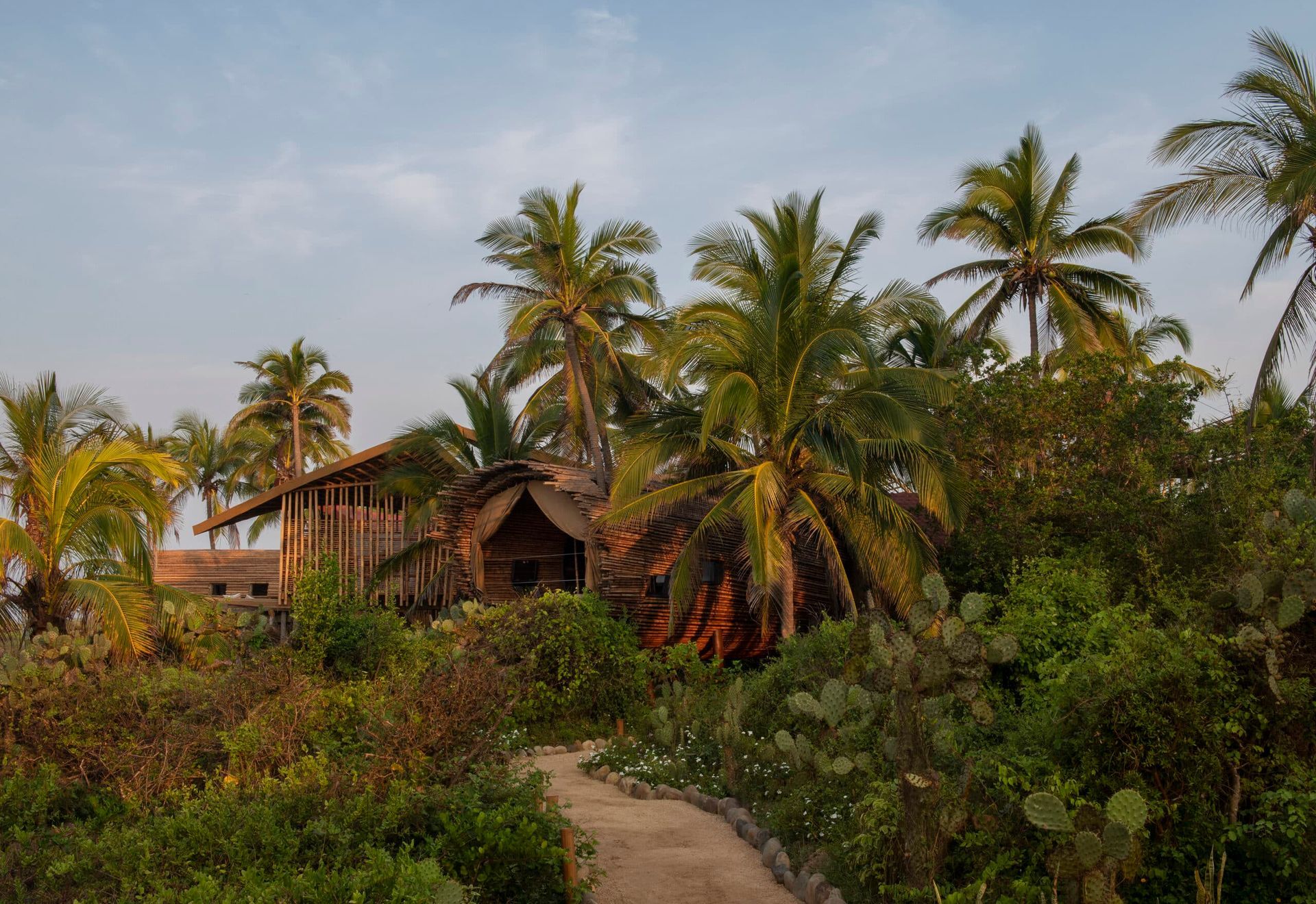 Rustic huts along a dirt path amid lush palm trees and dense tropical greenery at sunset