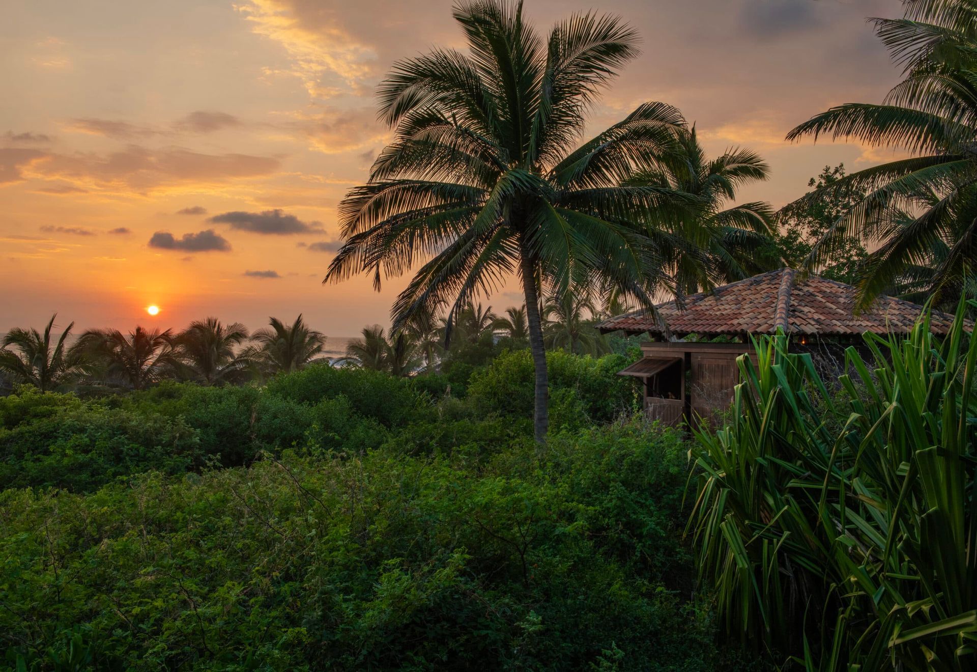 Sunset over lush palm trees and a small hut in a tropical landscape