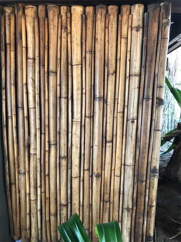 Vertical bamboo wall with a small green plant at the bottom