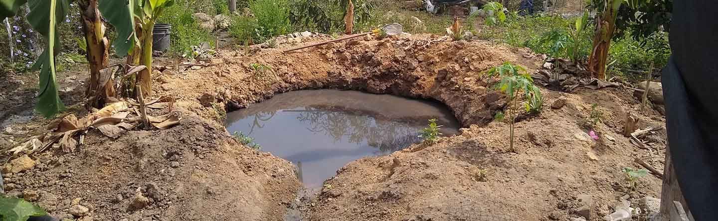 A muddy pit filled with water in a dirt clearing, surrounded by trees and vegetation.