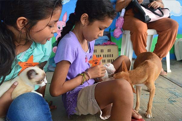 Children feeding cats and dogs while sitting on a porch