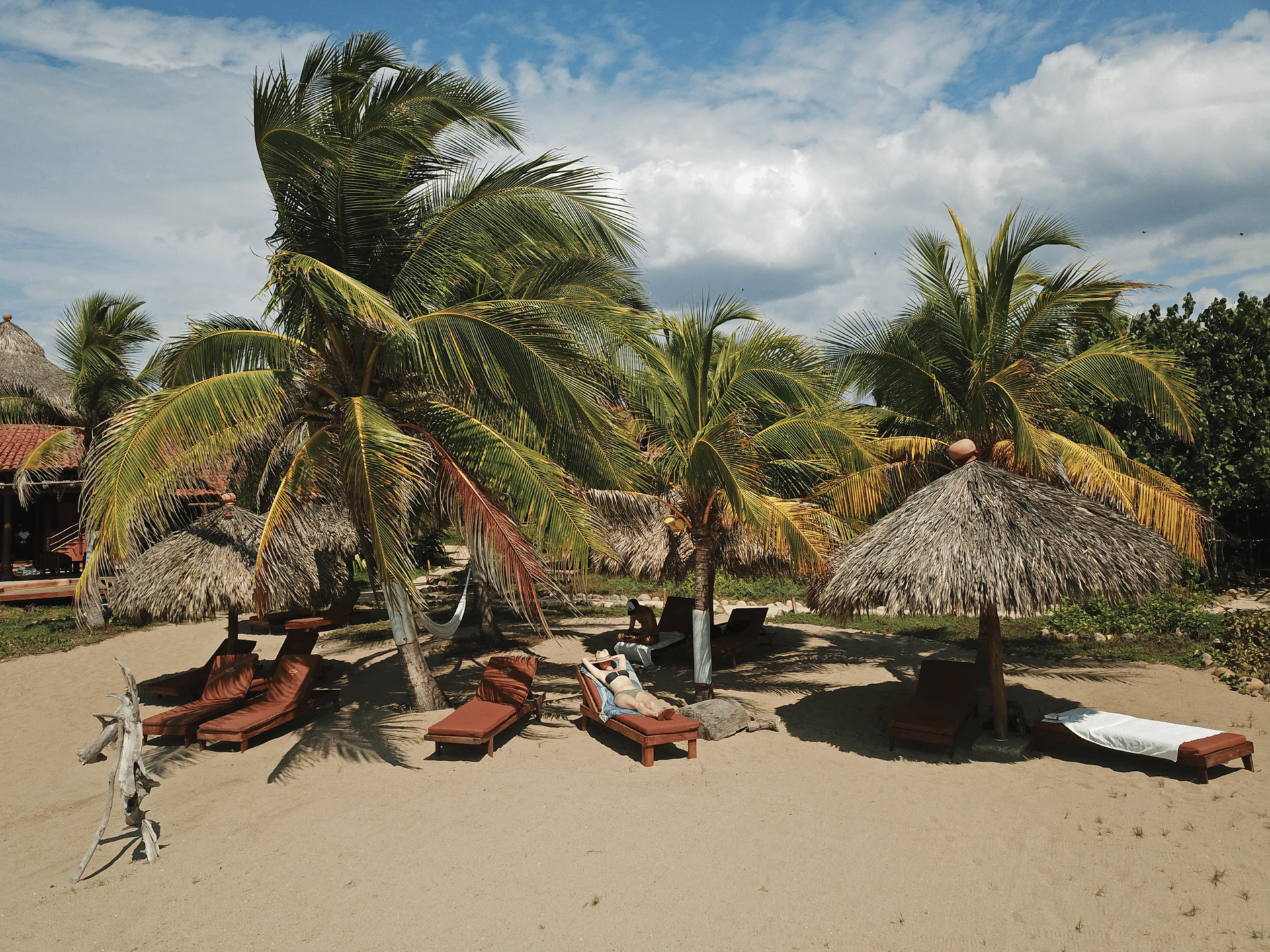 Tropical beach with palm trees, thatched umbrellas, and lounge chairs on sandy shore