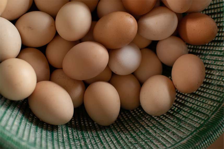 Basket of brown eggs with a few white eggs in a green wire basket