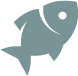 Pesca